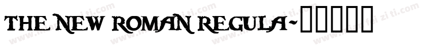 the new roman regula字体转换